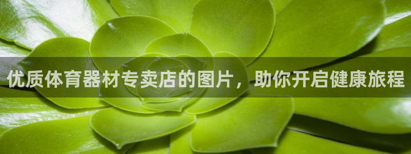 星欧娱乐退款流程详解：优质体育器材专卖店的图片，助你
