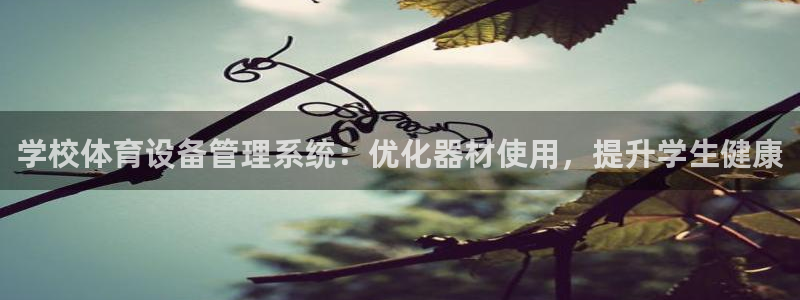 星欧娱乐扣款流程详解图：学校体育设备管理系统：优化器