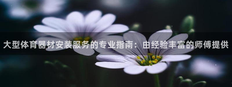 星欧娱乐发7O777：大型体育器材安装服务的专业指南