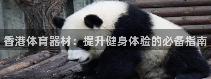 星欧娱乐下载最新版本更新内容：香港体育器材：提升健身