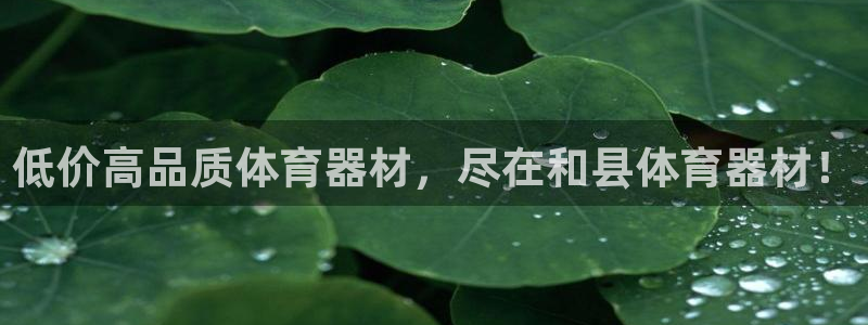 星欧娱乐公司电话号码：低价高品质体育器材，尽在和县体