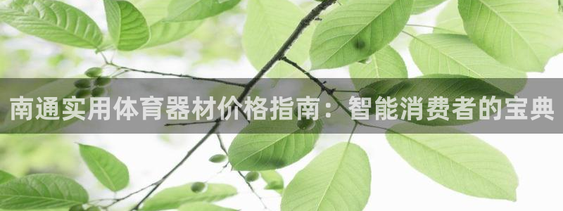 星欧娱乐的创始人背景故事介绍：南通实用体育器材价格指