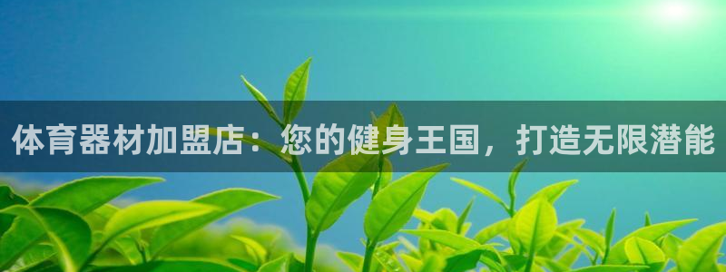 星欧娱乐下载最新版本更新内容：体育器材加盟店：您的健