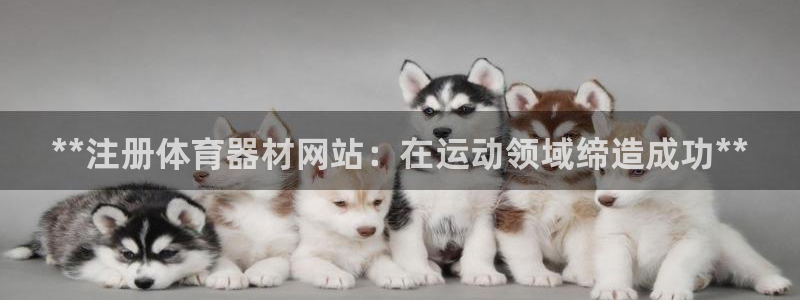 星欧娱乐用户名和密码：**注册体育器材网站：在运动领