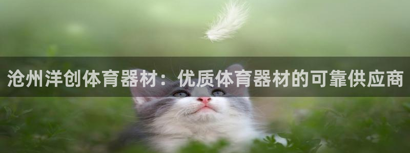 星欧娱乐被扣款7IIII怎么关闭：沧州洋创体育器材：