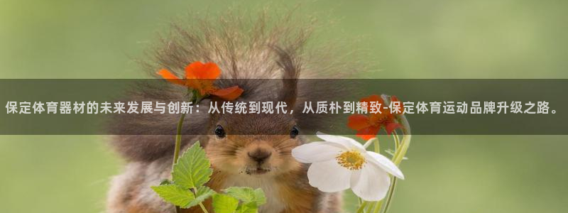 星欧娱乐的创始人背景故事