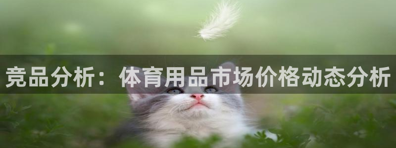星欧娱乐公司创始人背景故事