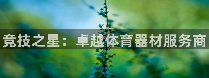 星澳娱乐公司简介