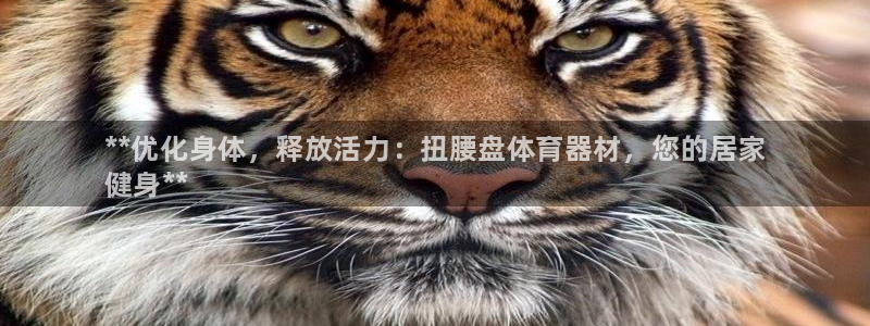 星欧娱乐联客服联系方式：**优化身体，释放活力：扭腰盘体育器