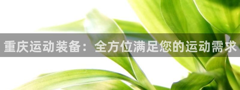 星欧娱乐挂机教程视频：重庆运动装备：全方位满足您的运动需求