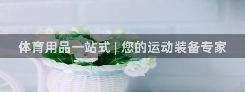 星欧娱乐最建议买的三个游戏：体育用品一站式 | 您的运动装备