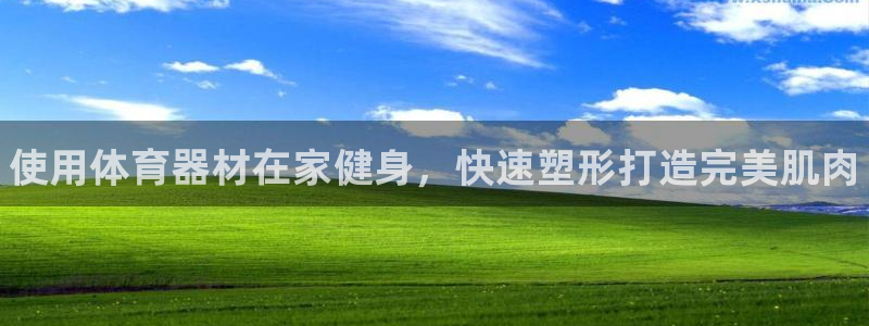 星欧娱乐属于什么档次的公司名称：使用体育器材在家健身，快速塑