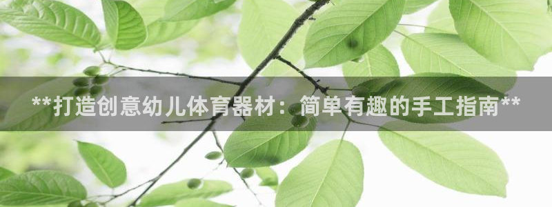 星奥娱乐集团是国企吗：**打造创意幼儿体育器材：简单有趣的手