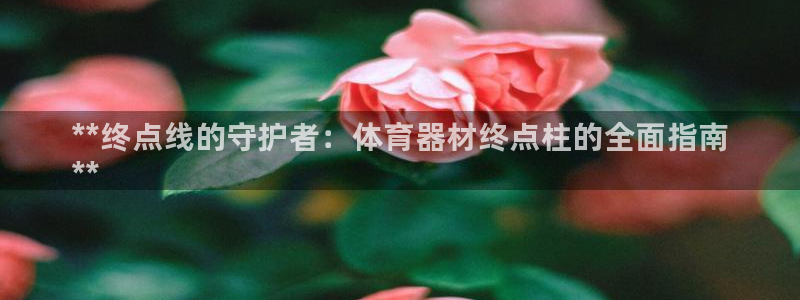 星奥娱乐怎么样：**终点线的守护者：体育器材终点柱的全面指南 