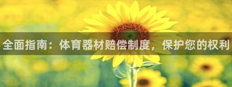 星奥娱乐集团股份有限公司怎么样：全面指南：体育器材赔偿制度，