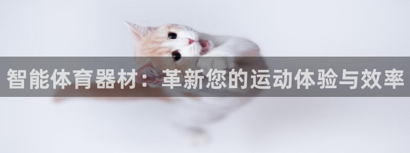 星欧娱乐工711.112怎么没有了：智能体育器材：革新您的运