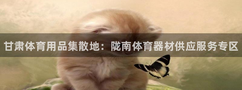 星奥娱乐集团怎么样：甘肃体育用品集散地：陇南体育器材供应服务