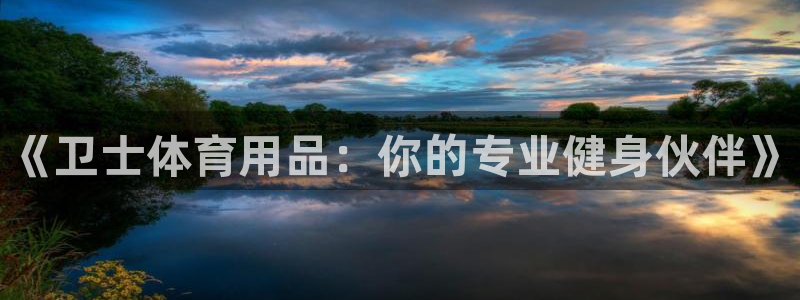 星娱乐文化传媒有限公司：《卫士体育用品：你的专业健身伙伴》