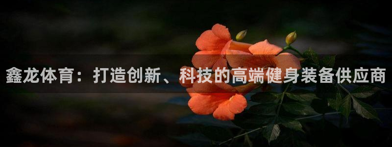 星欧娱乐app最新版本更新内容是什么