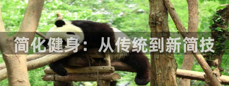 江苏星奥娱乐招艺人：简化健身：从传统到新简技