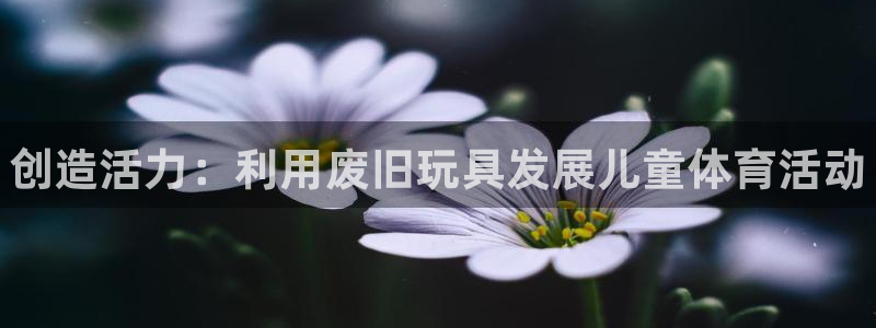 星欧娱乐app最新版本更新内容：创造活力：利用废旧玩具发展儿