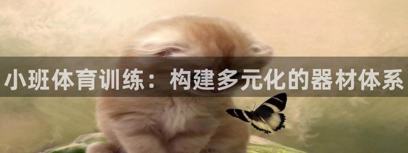 星欧娱乐平台怎么样啊知乎：小班体育训练：构建多元化的器材体系