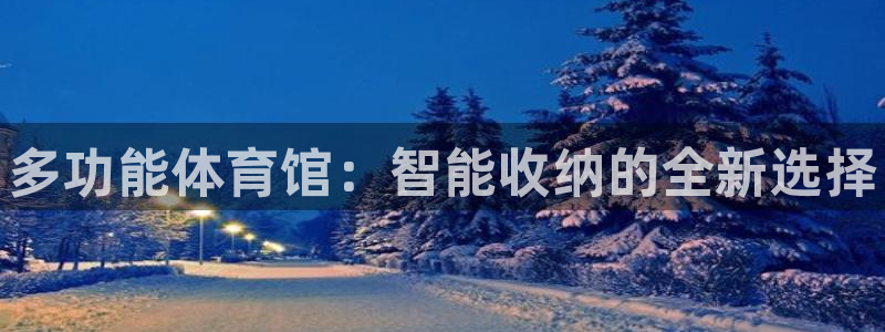 星娱乐online：多功能体育馆：智能收纳的全新选择